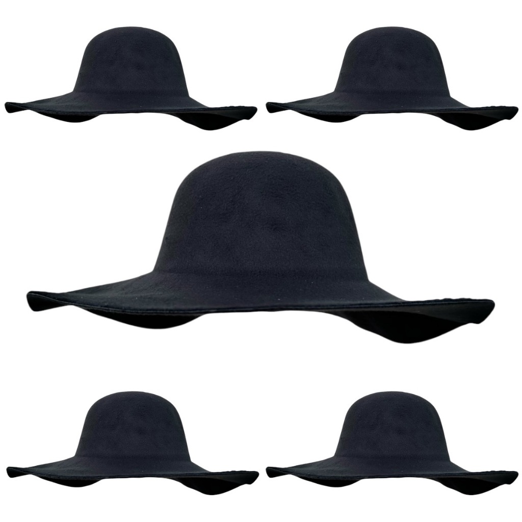 kit 5 Chapéu caminhoneiro cata ovo Natanzinho pança de burro batateiro de feltro