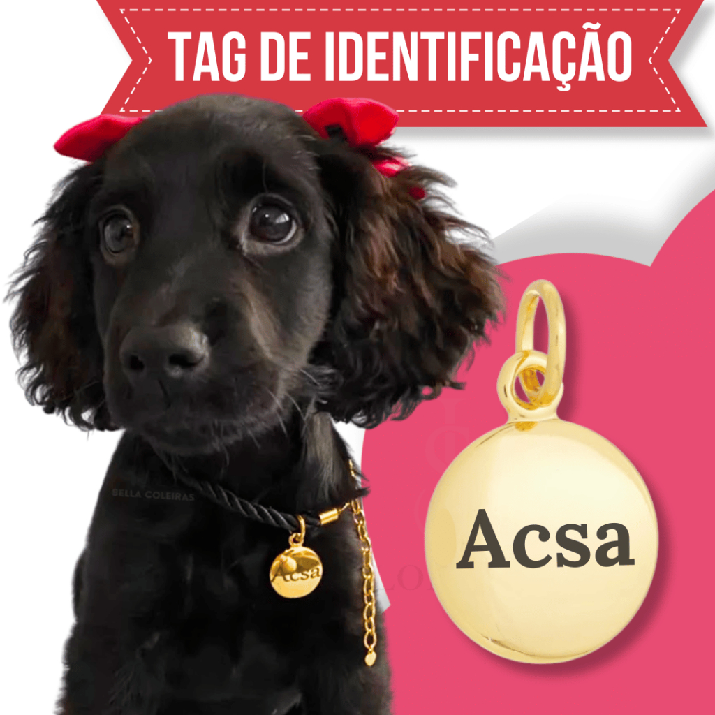 Tag de Coleira Pet Identificação Personalizado Nome e Telefone Vários Modelos em Oferta na Shopee