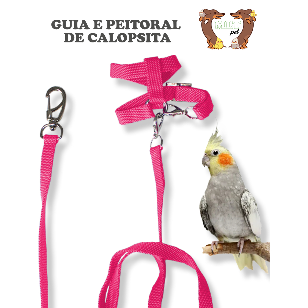 Peitoral para Calopsita Regulável Guia 1,50mt