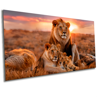Quadro Decorativo Para Sala Grande Familia de Leão com 2 Filhotes Horizontal em Tela Acetinada em Oferta na Shopee