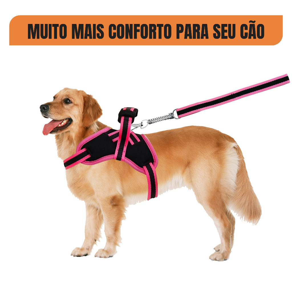 Guia para Cachorro Raças Grandes: Onde Comprar | BuscaProdutos
