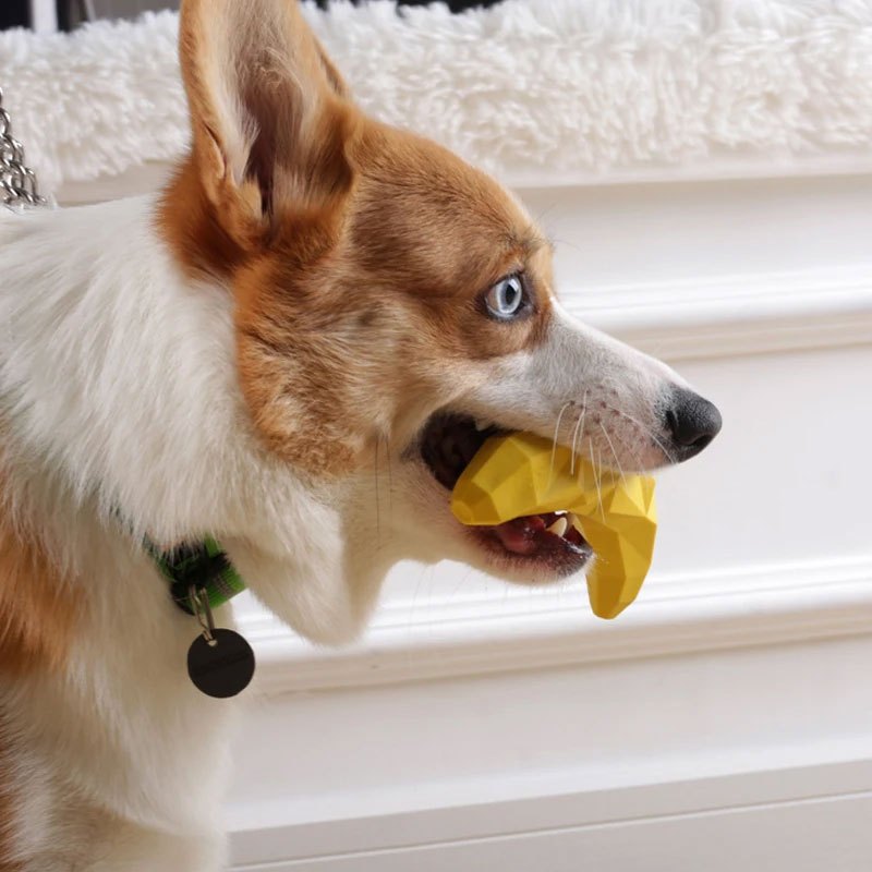 Brinquedo Mordedor Recheável para Pets – Modelos Banana e Laranja, Livre de BPA em Oferta na Shopee