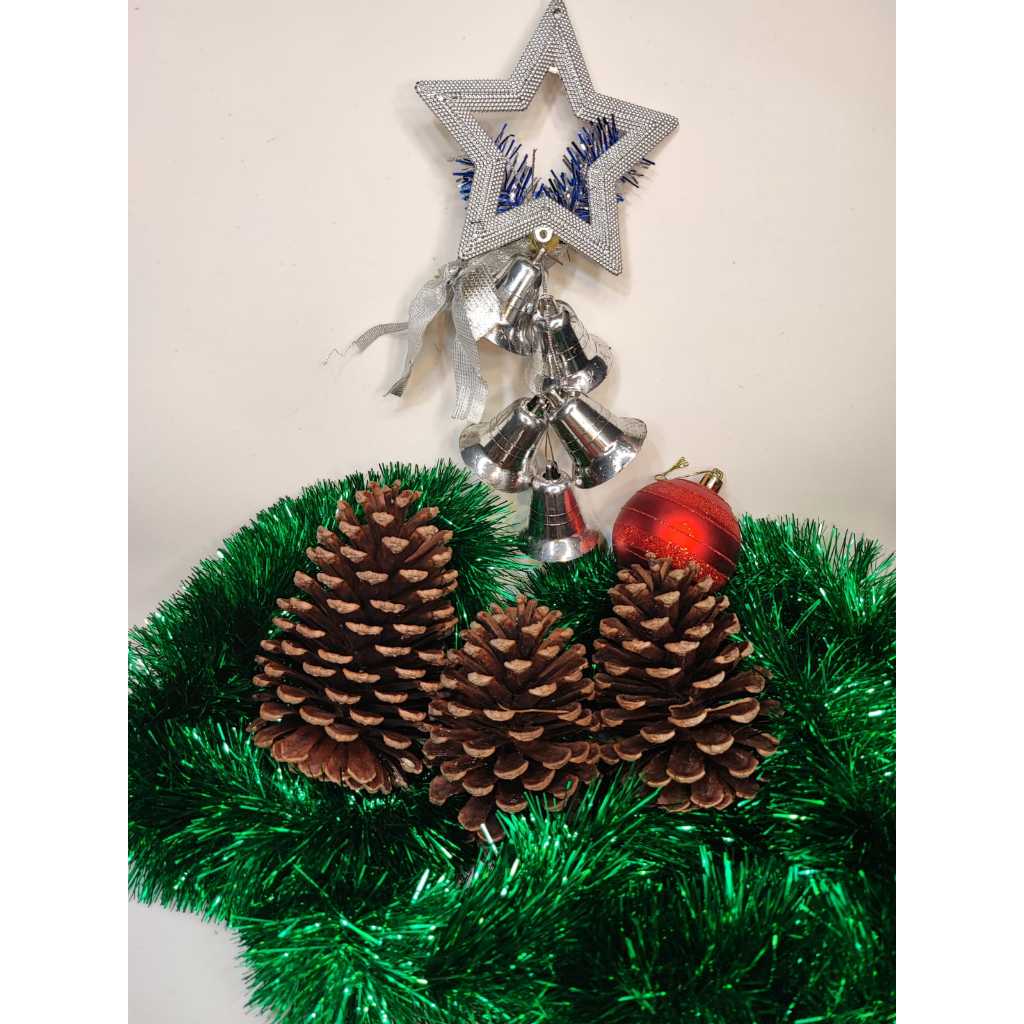 Artesanato com Pinhas: Onde Comprar | BuscaProdutos