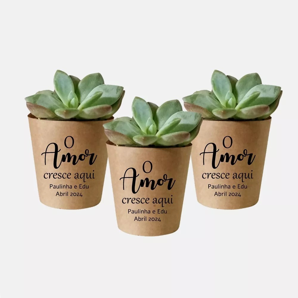60 Rótulos Personalizados Para  lembrancinha Suculentas  e cactos.para Eventos ,Casamentos,..batizados..aniversarios.