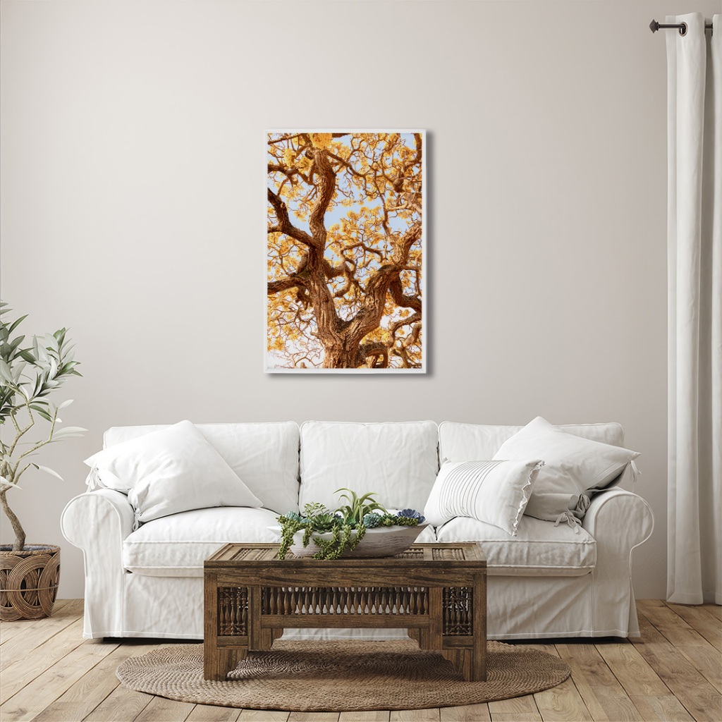 Quadro Decorativo Paisagem Arvore Ipe Amarelo com Moldura Sala Quarto Escritorio em Oferta na Shopee