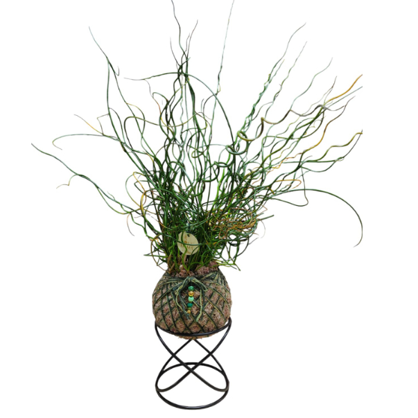 Suporte Base X para Kokedama em Oferta na Shopee