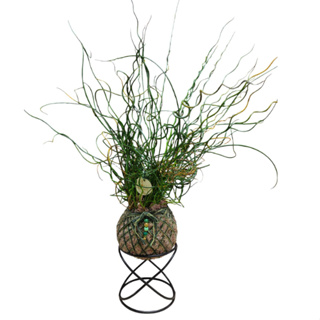 Suporte Base X para Kokedama em Oferta na Shopee