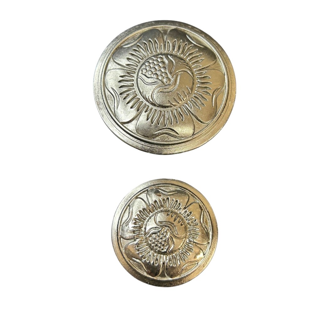 Traias para Cavalos: Onde Comprar | BuscaProdutos