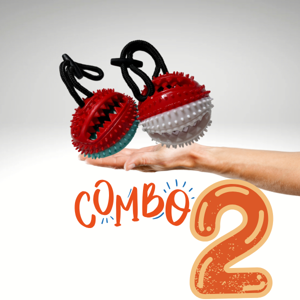 Kit 2UN Brinquedo Para Cachorro Bola Multifuncional Mordedor Porta Petisco Pet Ball Bolinha Puxador
