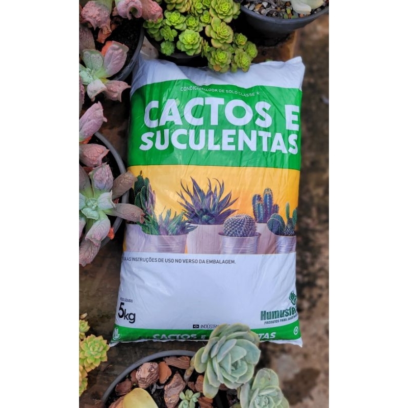 Substrato Cactos e Suculentas HumusFértil 05 Kg