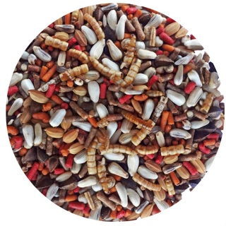 Mistura Trinca Ferro Insetos 5kg - Top de Linha - Pixarro - Linha Supramix. em Oferta na Shopee