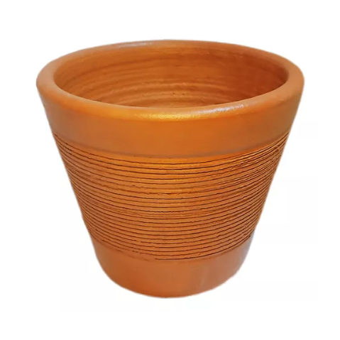 Plantas Altas para Vasos Grandes: Onde Comprar | BuscaProdutos