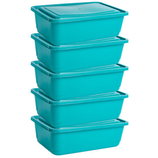 Kit 5 Potes Coloridos 4 Litros Tampa Colorida Tapoer Bandeja Retangular BPA Freezer Micro-ondas em Oferta na Shopee