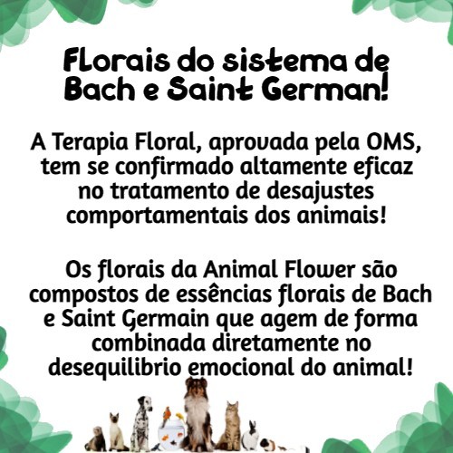 Floral Pet Para Caes e Gatos Medo de Fogos de Artifícios Trovoes Barulhos - 30ml — imagem 2 de 2