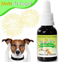 Floral Pet Para Caes e Gatos Medo de Fogos de Artifícios Trovoes Barulhos - 30ml