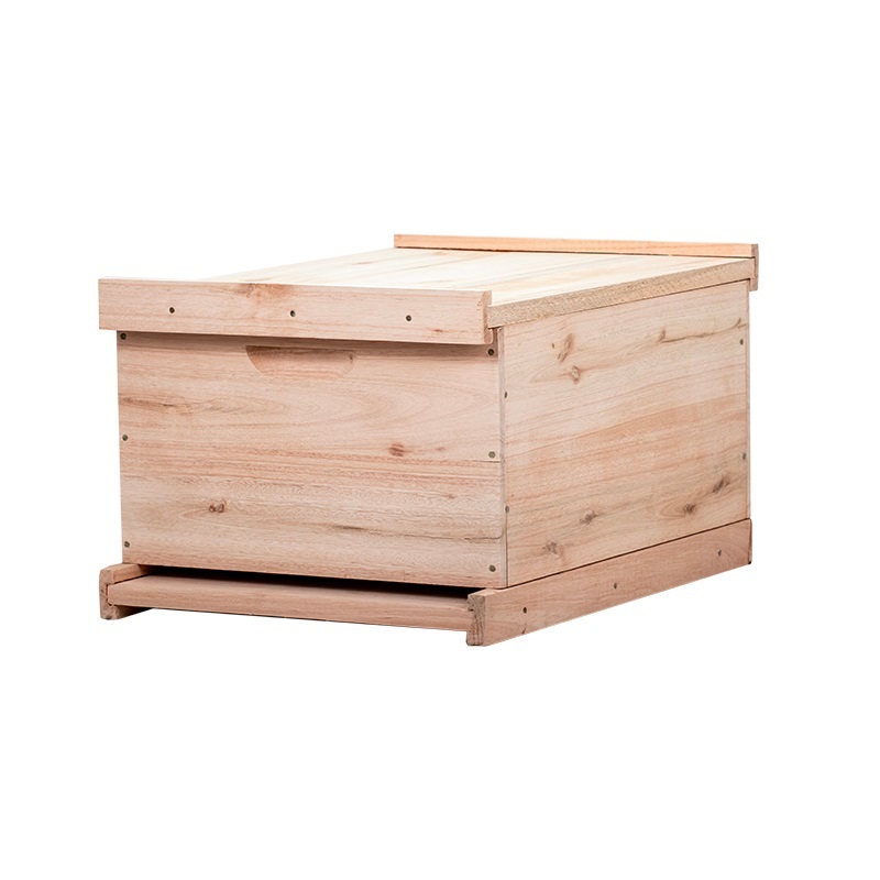 Caixa para Abelhas Langstroth Eucalipto Ninho 24cm com arame