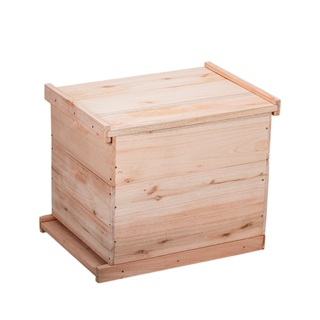 Caixa Abelhas Langstroth Eucalipto 1 melgueira sem arame em Oferta na Shopee