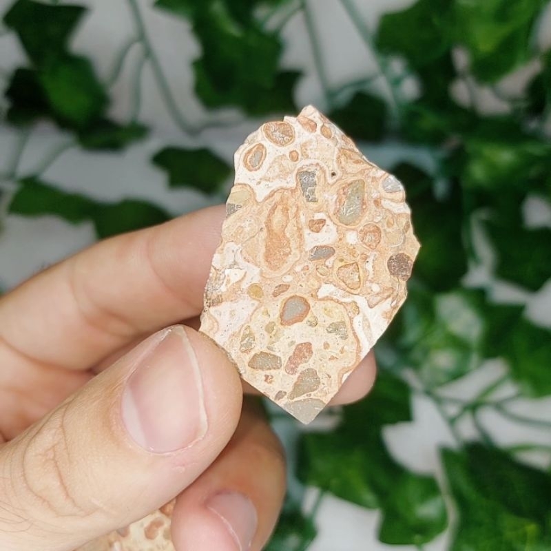 Jaspe Leopardo Bruta - Leopardita - (México)