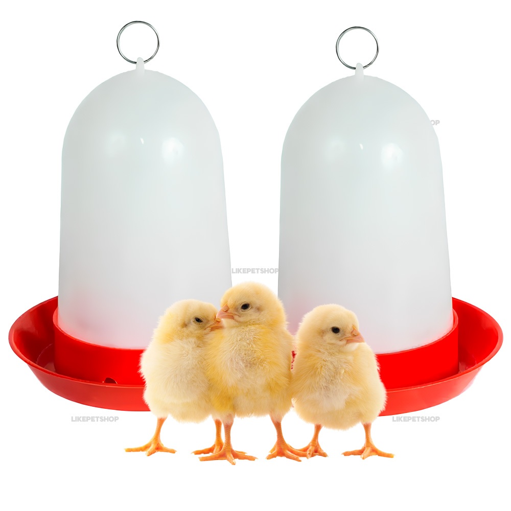 Kit Comedouro Bebedouro Automático para Aves e Galinha Codorna Plástico Resistente BPA Free 750ml em Oferta na Shopee