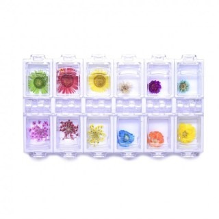 Kit Flores Secas Para Alongamento De Unhas Encapsuladas Gel Manicure Decoração Nail Art em Oferta na Shopee