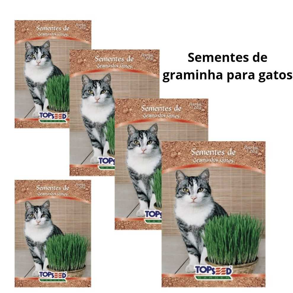 SEMENTES GRAMA GRAMINHA PARA GATOS PARA PLANTAR