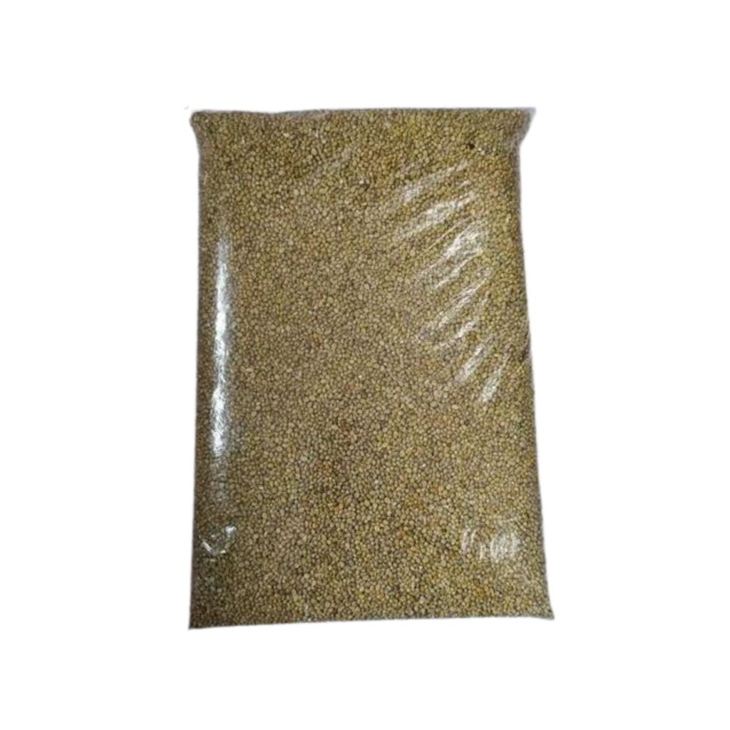 Semente De Milheto Resistente A Cigarrinha pacote 5kg - MILHETO PARA SILAGEM