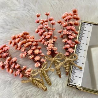 kit c/2 mini flores desidratadas lapela em Oferta na Shopee