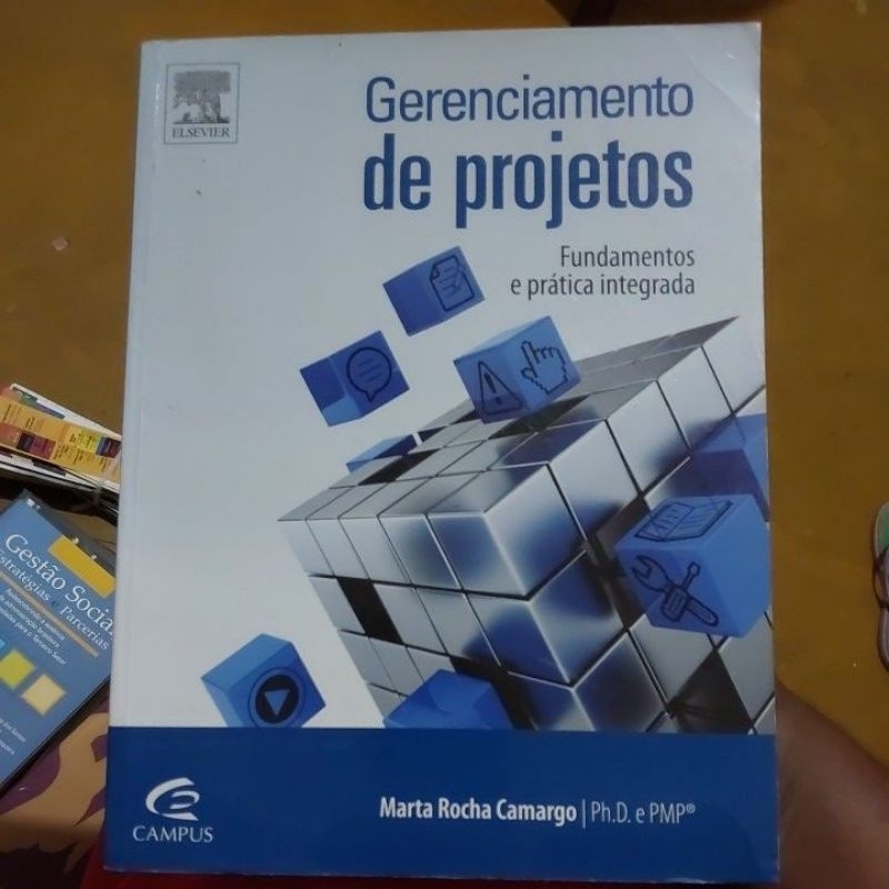 Livro - Gerenciamento de Projetos - Fundamentos e Prática Integrada - Marta Rocha Camargo
