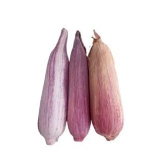 Semente De Milho Crioulo Orgânico Sabugo Roxo - 1.000 Sementes em Oferta na Shopee