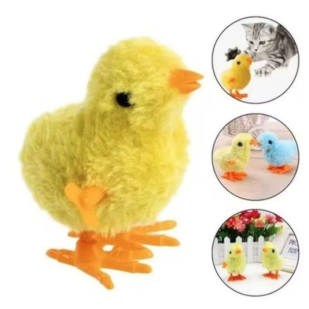 Pintinhos Amarelos: Onde Comprar | BuscaProdutos