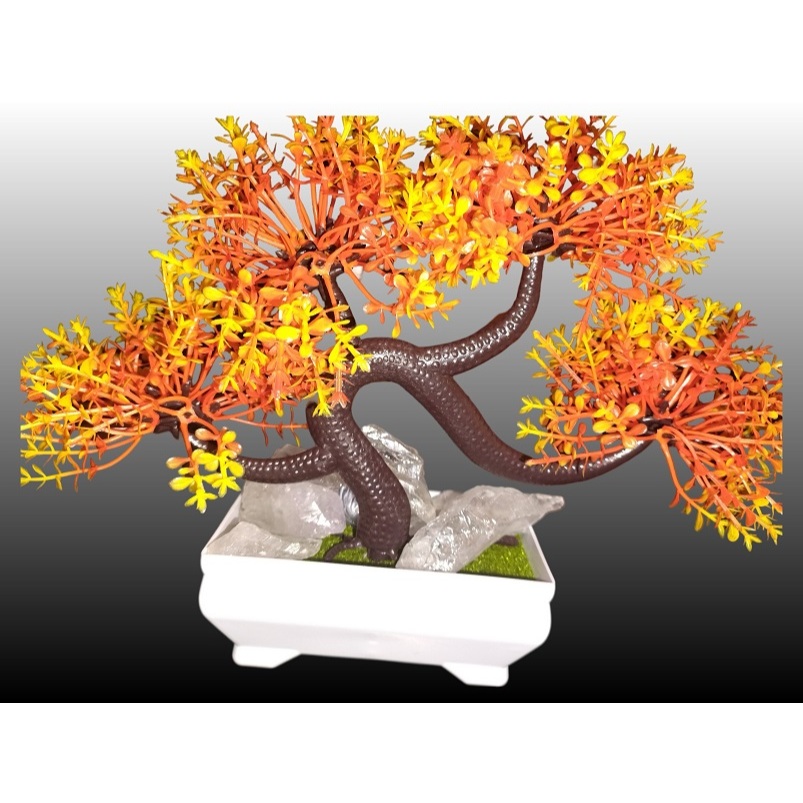 Bulbos de Flores Naturais: Onde Comprar | BuscaProdutos