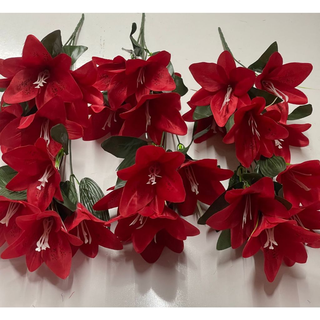 Lírio (Kit com 6/12 unidades)