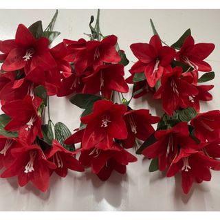 Lírio (Kit com 6/12 unidades) em Oferta na Shopee