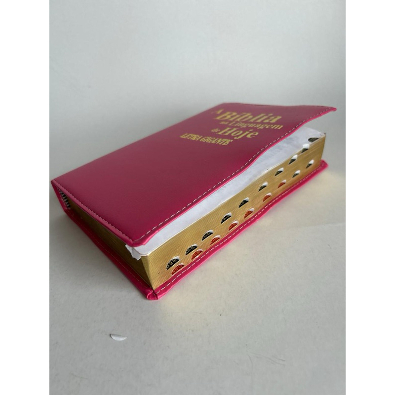 Bíblia Nova Tradução na Linguagem de Hoje (NTLH)  - Letra Gigante em Oferta na Shopee