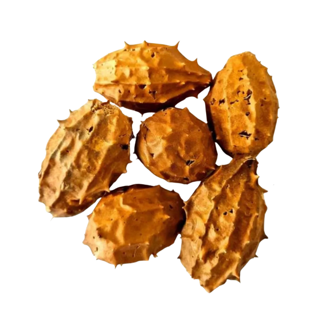 Kit Buchinha do Norte 100% Natural