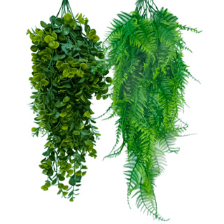 Mix 1 Pendentes de Samambaia+1 Pendentes de Eucalipto Artificial 80cm Pendurada Verde Artificial Decoração em Oferta na Shopee
