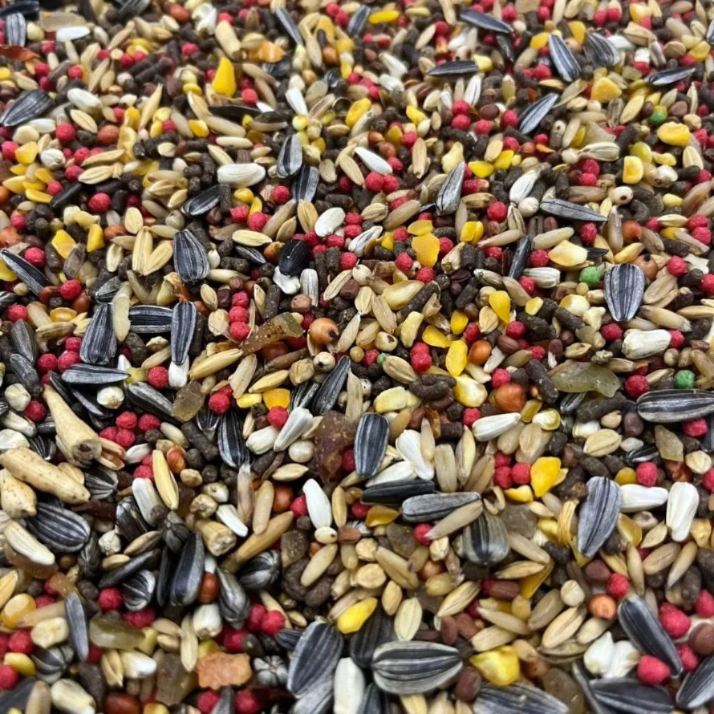 Mistura de Sementes Para Trinca Ferro Pássaros Sabor Pimenta Ração Aves Marca Flamingos 5 Kg — imagem 2 de 2