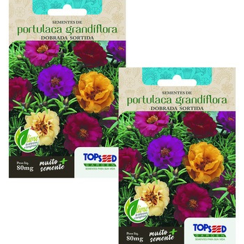 2X Sementes de Portulaca Onze Horas Dobrada Sortida 80mg Flores Jardins Vasos