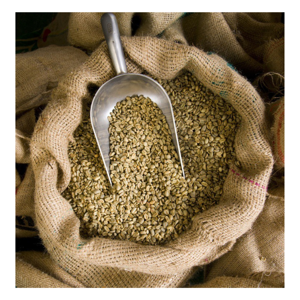 Café em Grãos Cru 100% Arábica Café Verde para torrar Café Caseiro Premium