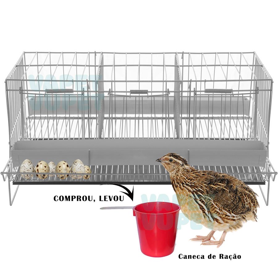 Gaiola COMPLETA Para Codorna Poedeira Aves Completa Chocadeira Criadeira de Pintinhos+ Pote de Ração