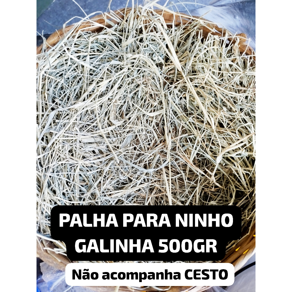 Palha para Ninho Galinha, Presépio, Decoração - Feno Tifton 85 - Feno Natural para Decoração. (NÃO ACOMPANHA CESTO) em Oferta na Shopee
