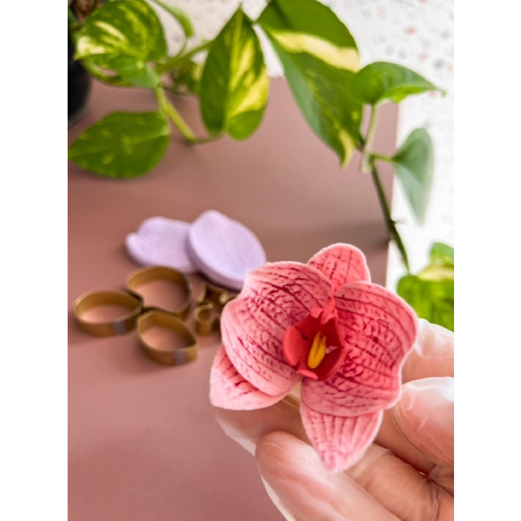 KIT CORTADOR E FRISADOR ORQUIDEA PHALAENOPSIS HIBRIDA PP