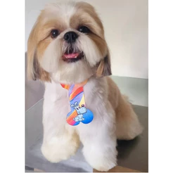 GRAVATA PET OSSINHO PET PARA CACHORRO OSSO PARA BANHO E TOSA PARA CÃES GATO E CACHORRO Macho Animais de Estimação