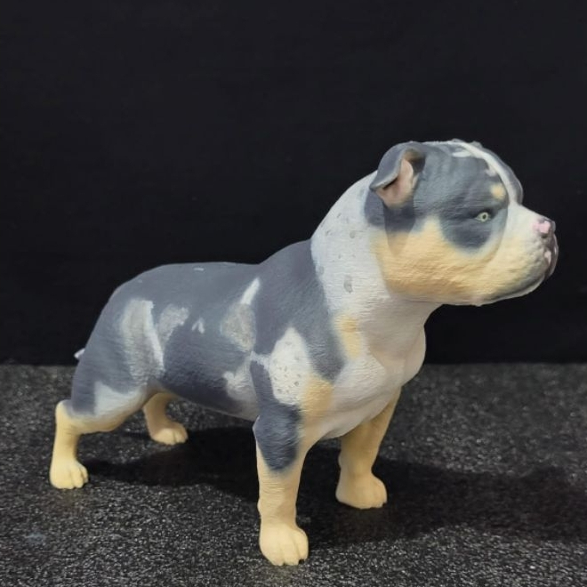 Cores American Bully: Onde Comprar | BuscaProdutos
