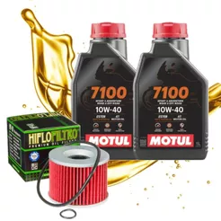 Troca de Óleo P/ Kawasaki Ninja 250r Motul 7100 10w40 + Filtro Hiflo Hf401