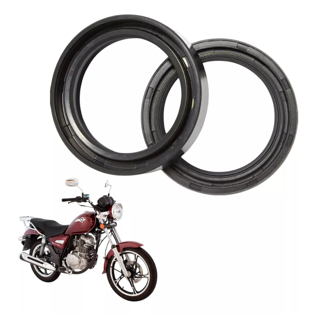 Retentor De Bengala Haojue Chopper Road 150 ( Par )