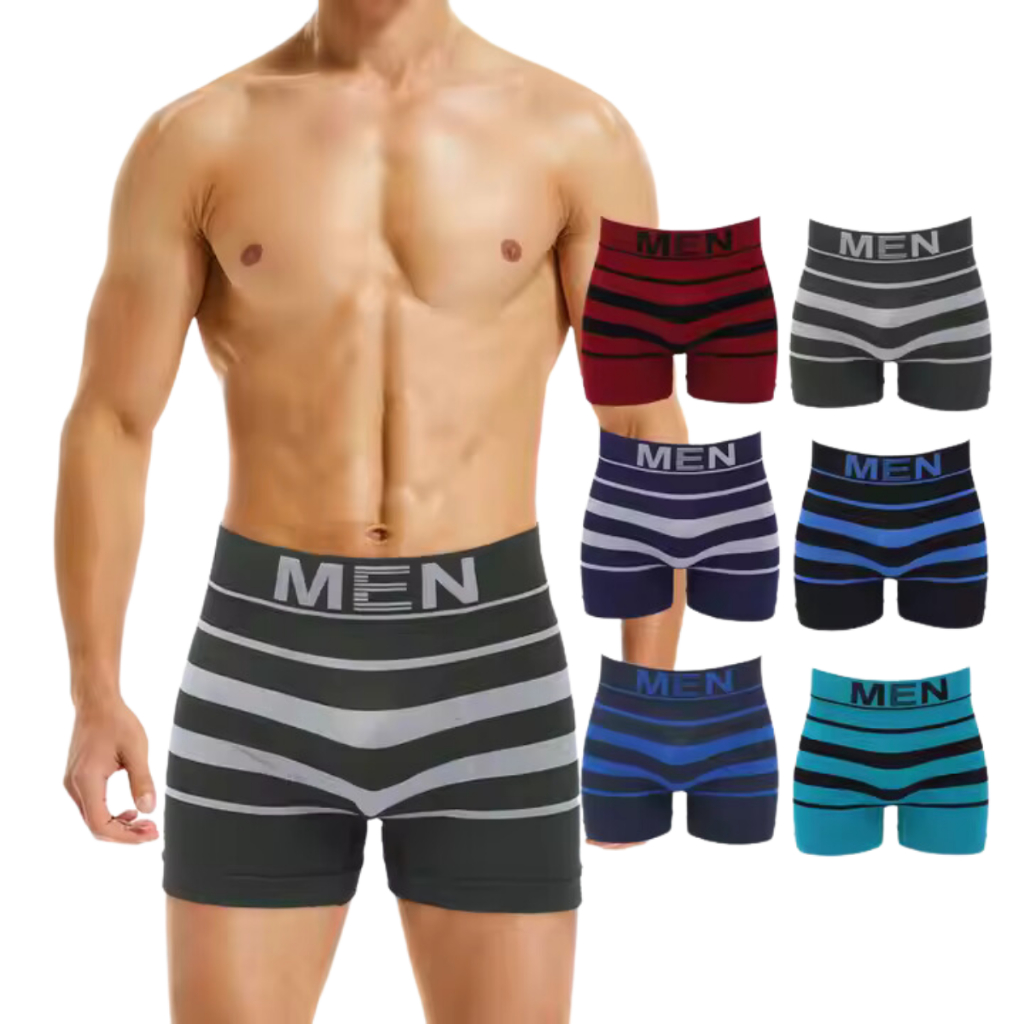 Kit 12/10/8/6/4 Cuecas Boxer Microfibra Sem Costura Masculino Adulto