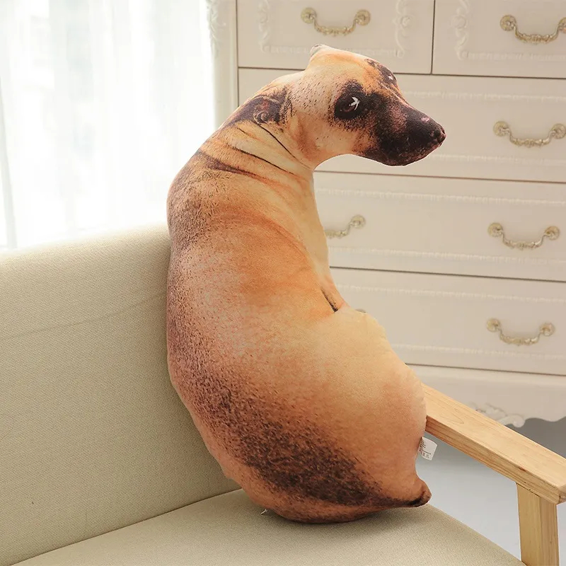 Almofada 3d Cachorro Caramelo Meme 50cm