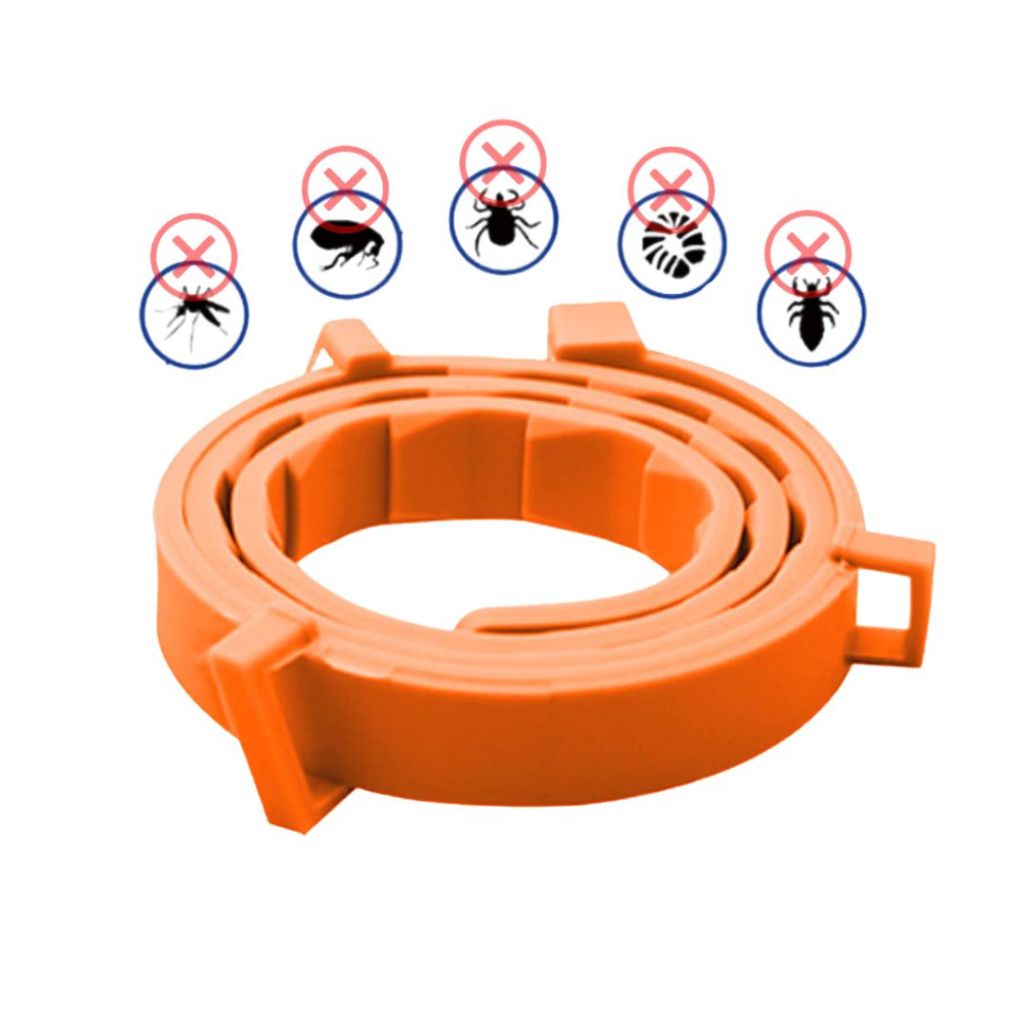 O que é Coleira para Cachorro Antipulgas e Carrapatos? Guia e Onde Comprar | BuscaProdutos