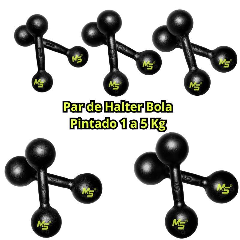 Par Halter Bola Pintado - 1 a 5 Kg / Treino Musculação Peso de Academia C/ 2 Un